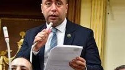 صناعة النواب توافق على منحة لتطوير صناعة السيارات الخضراء