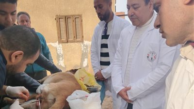 الزراعة تواصل حملاتها الوقائية: تحصين أكثر من 1.2 مليون رأس ماشية وتوسيع نطاق مكافحة السعار