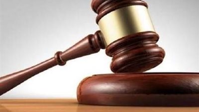 الماء والحجر والخيانة.. مأساة هزت المنوفية والمحكمة تسدل الستار 