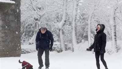 حصار الجليد.. الثلوج تطمس معالم العواصم الأوروبية وتقيد حركة الملاحة والخدمات