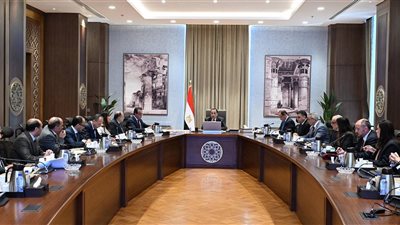 وزارة المالية توفر 2.5 مليار جنيه لهيئة الشراء الموحد