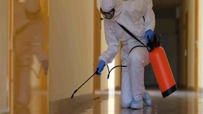 طرق طبيعية في مكافحة الفئران دون استخدام مواد كيميائية ضارة