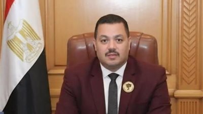 تحت قبة البرلمان.. دقدق يرفض تعديل قانون الكهرباء ويحذر من ظلم المواطنين