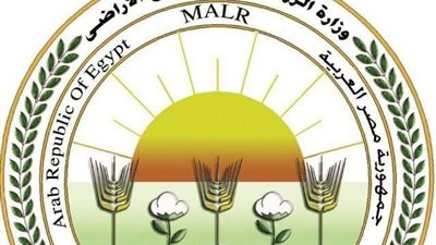 وزارة الزراعة تنفي رصد جراد صحراوي بـ بئر العبد في سيناء