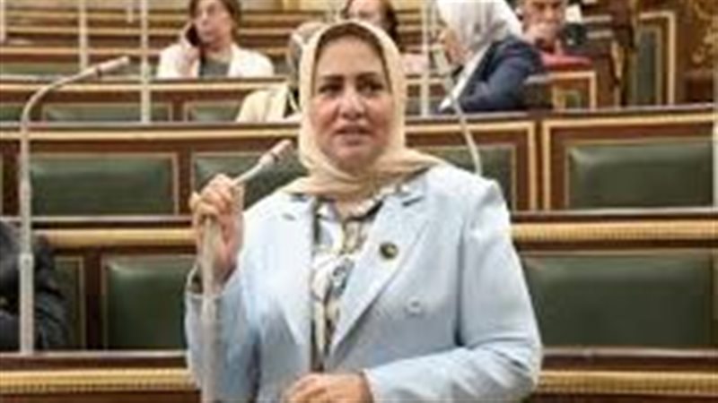 النائبة سحر صدقي