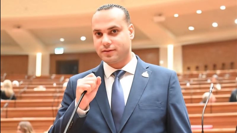 النائب أنس هلول عضو