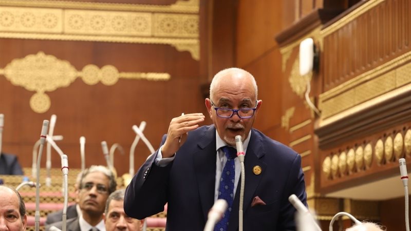 النائب حازم الجندي