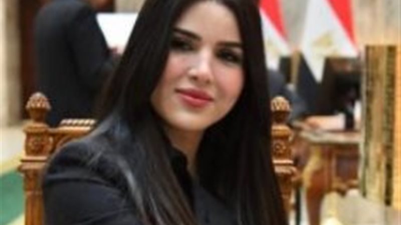 النائبة ريهام أبو