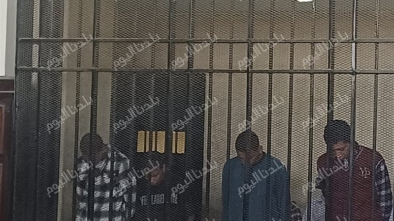 بلدنا اليوم