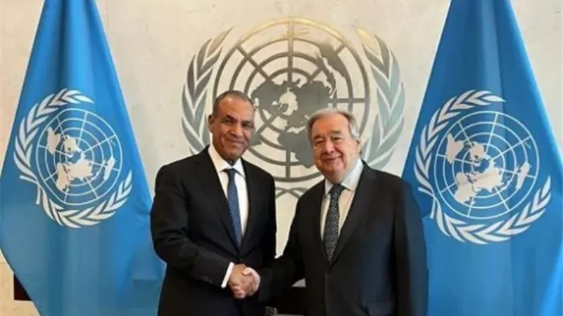 وزير الخارجية المصري