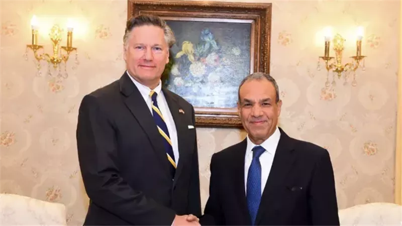 وزير الخارجية المصري