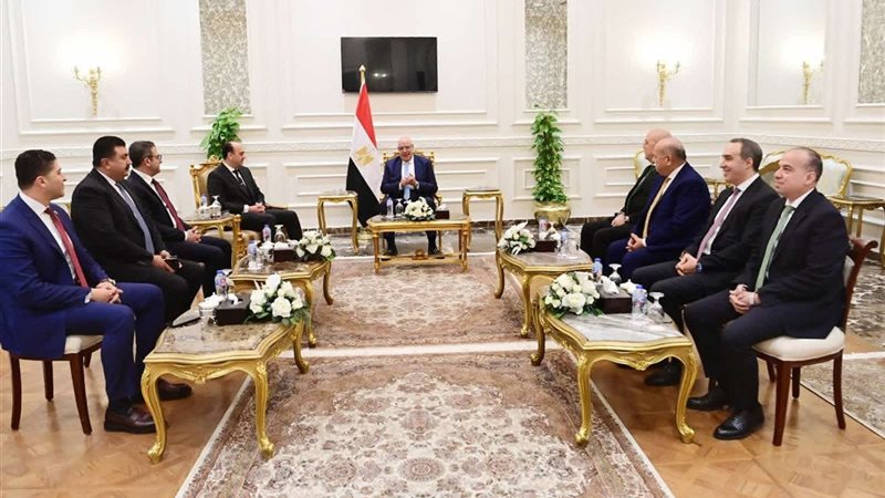 المستشار هشام بدوي