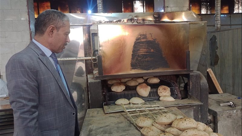 جانب من الحملات 