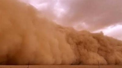 الدكتور أمجد الحداد: الأتربة التي نشهدها الآن تأتي في غير موعدها