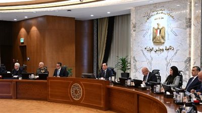 مجلس الوزراء يوافق على إعادة تخصيص أراض لجهاز مستقبل مصر