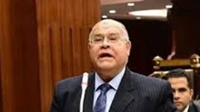 الشهابي: تصنيف عدد من دول الإخوان كتنظيماً إرهابياً يعكس وعيا دوليا متأخرا بخطورة الجماعة