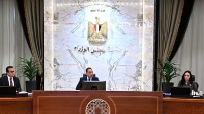 تفاصيل الخطة المصرية لحماية الأطفال والنشء من المحتوي الضار على وسائل التواصل الاجتماعي