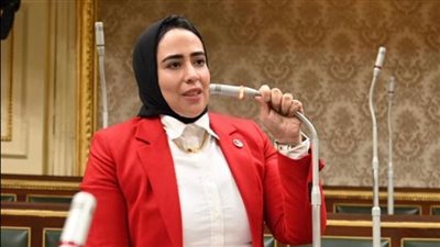 سارة النحاس تطلب إحاطة بشأن حرمان عمال الإسكندرية والبحيرة من التأمين الصحي