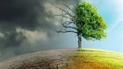 كيف تسبب الفحم في تغيير المناخ طيلة 500 عام؟