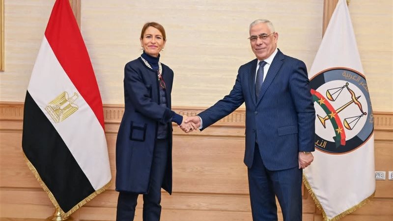 المستشار محمد شوقي