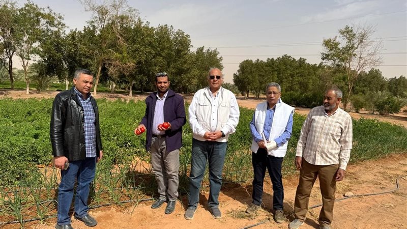 بلدنا اليوم