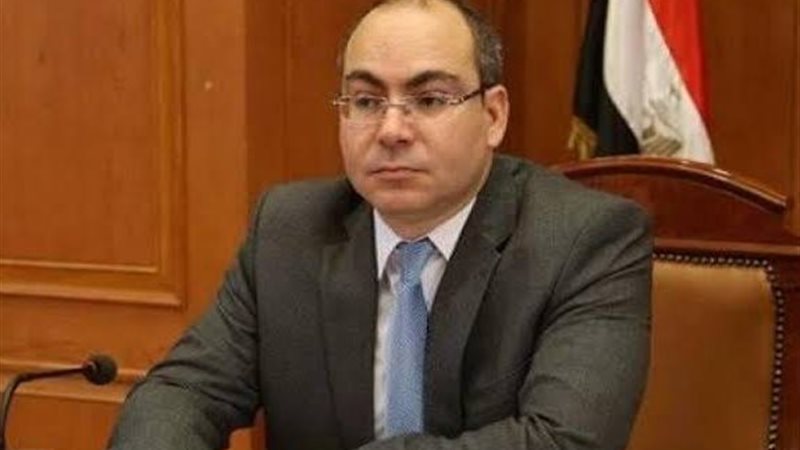 النائب محمد رشوان