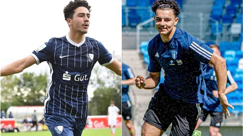 انياس عبد الحميد