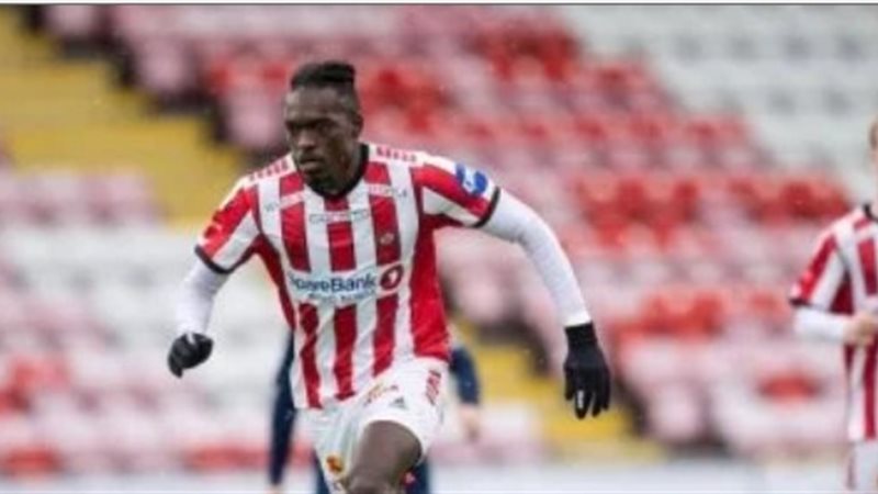 أيلتسين كامويش