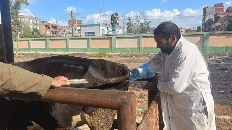 مديرية الطب البيطري