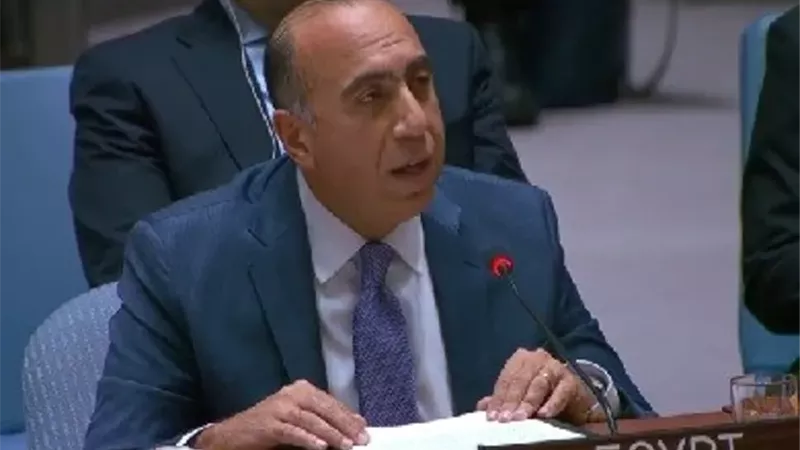 مندوب مصر الدائم