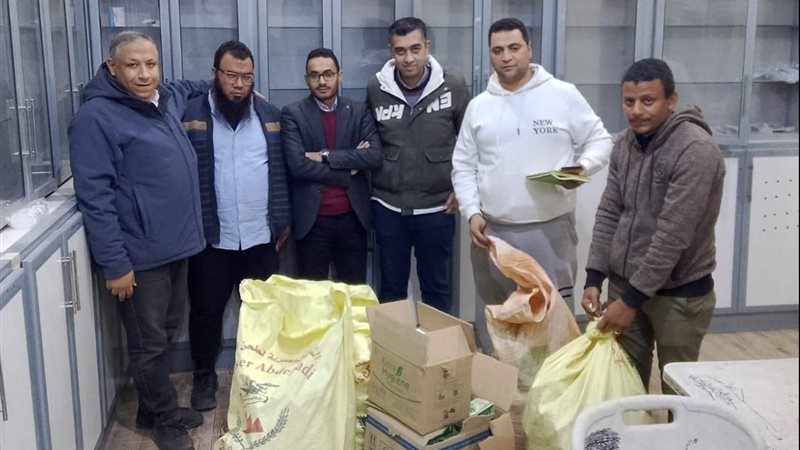 الحملة المكبرة 