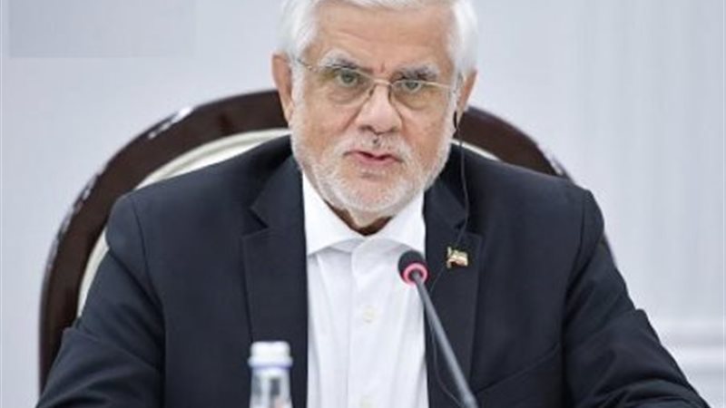 النائب الأول للرئيس الإيراني محمد رضا عارف 