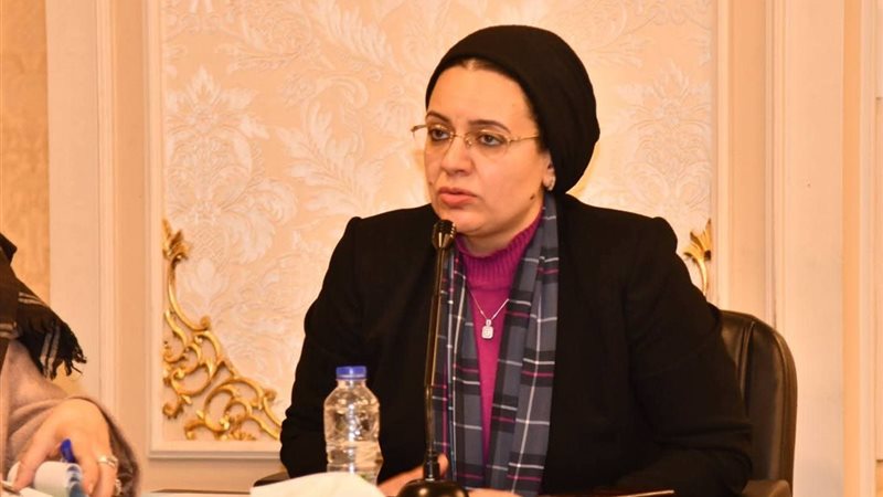 النائبة ريهام عبد النبي عضو مجلس النواب