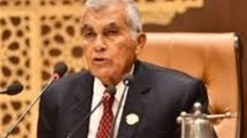 عصام فريد رئيس مجلس