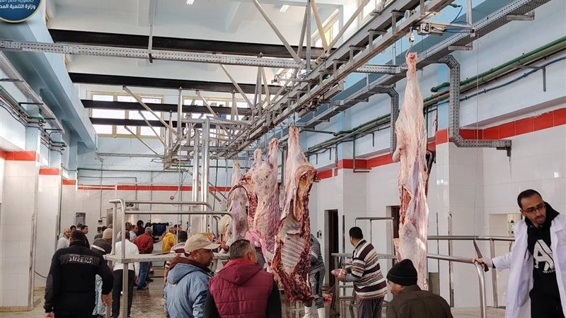 إقامة المجزر على