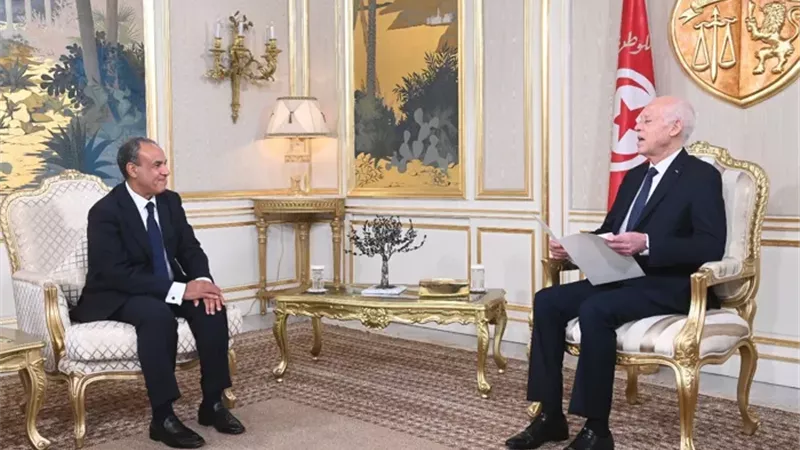 وزير الخارجية المصري