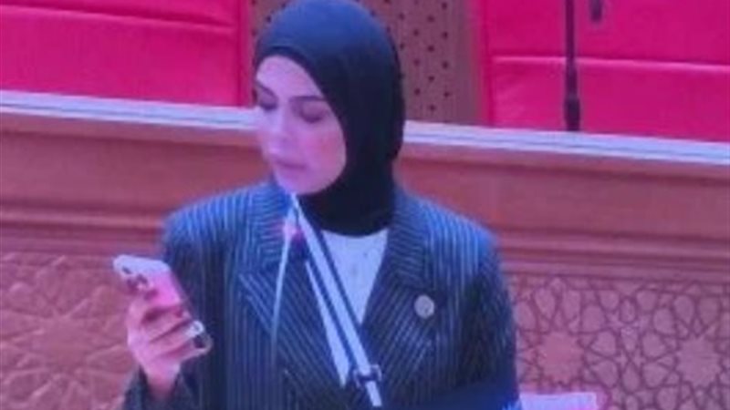 النائبة سجى هندي