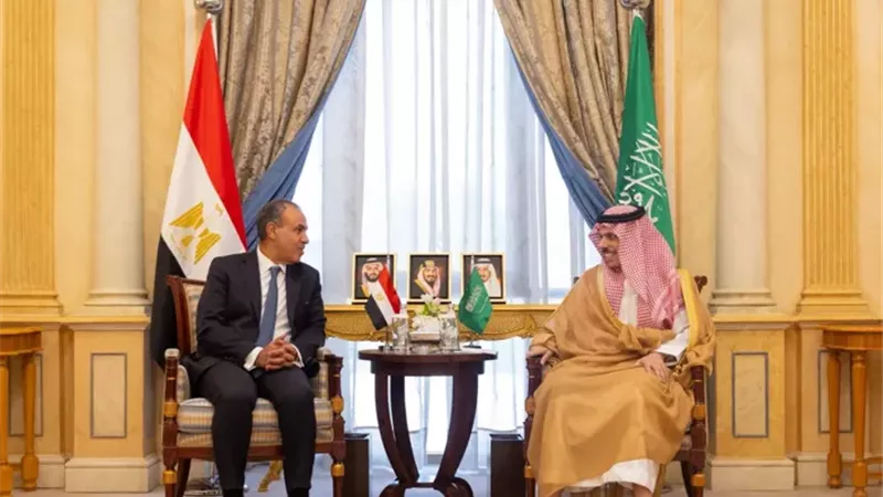 وزيرا خارجية مصر