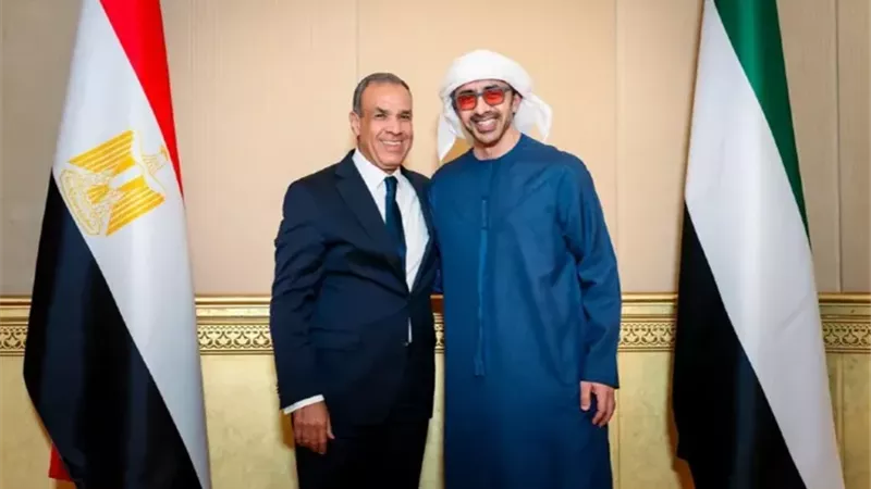 وزير الخارجية المصري