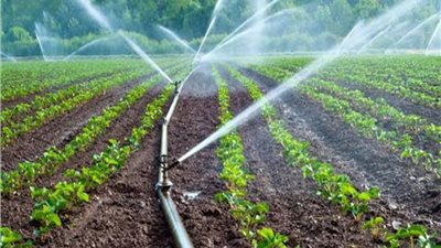 الإسكندرية: الري الحديث والإرشاد الزراعي لضمان استدامة المياه