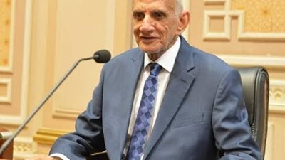 النائب خالد خلف الله: قناة السويس شريان استراتيجي.. ودعم اليابان ضروري