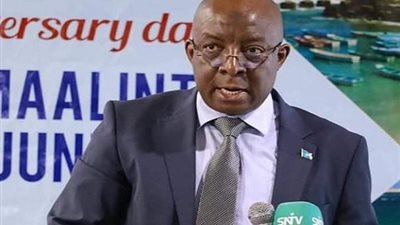 وزير الإعلام الصومالي: العالم أمام تحديات كبرى لمحاسبة منتهكي القانون الدولي