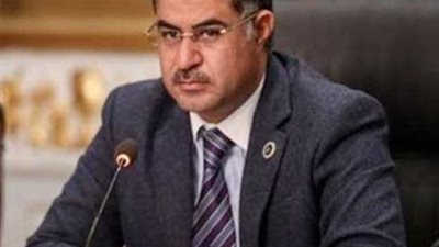 سليمان وهدان: الفضاء السبراني أصبح جزء من النسيج الاجتماعي ولم يعد نافذة على العالم