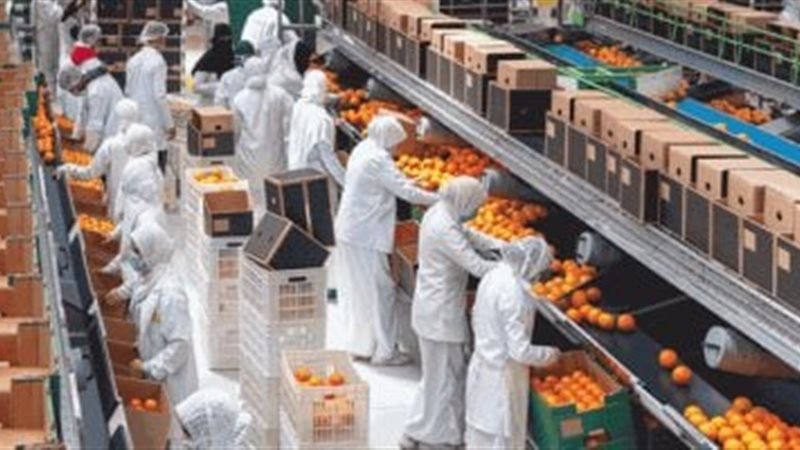 الصادرات الزراعية