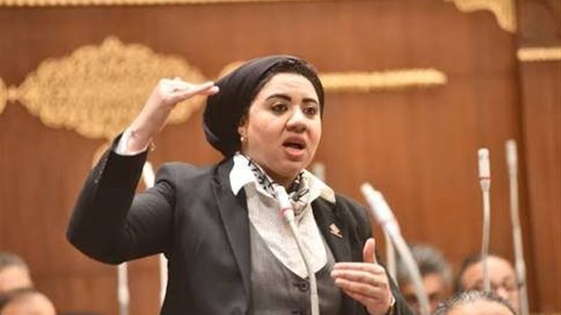 النائبة أميرة صابر