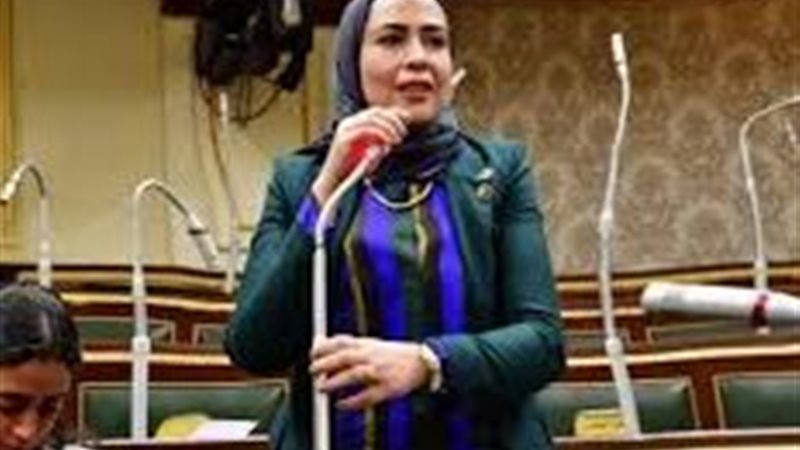 النائبة سارة النحاس