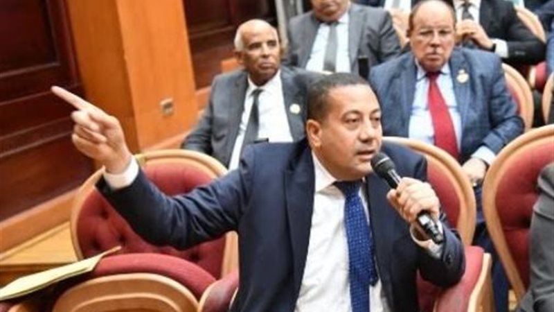 النائب ناصر الضوي،