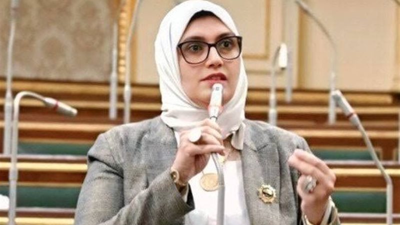 النائبة مروة هاشم