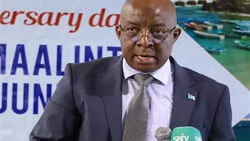 وزير الإعلام الصومالي