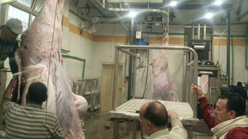 مجزر بيلا بعد تطويره